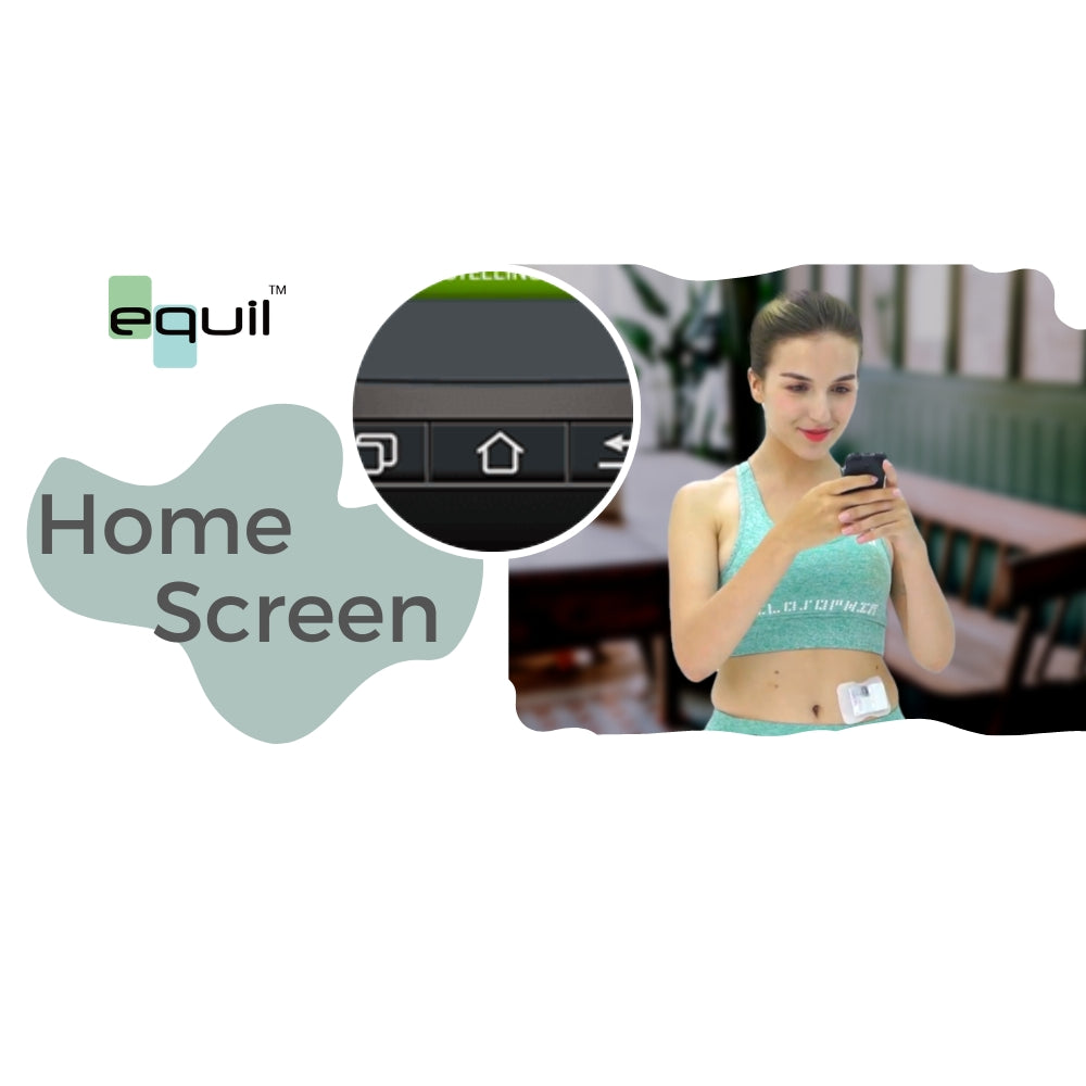 3- PDA Home screen